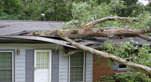 Integrated Property Solutions Pic 1 - AAdelaide Storm Damage Cleanup