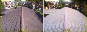 Pro Gutter Cleaning Sydney Pic 2