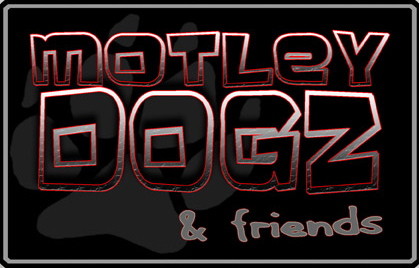 MotleyDogz & Friends Pic 1