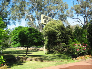 Seymour Motel Pic 2 - Lovely country setting Lovely gardens on very large block