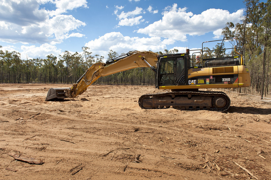 Canopy Tree Services Southern Highlands Pic 1