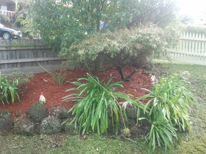 BG Landscaping Pic 5