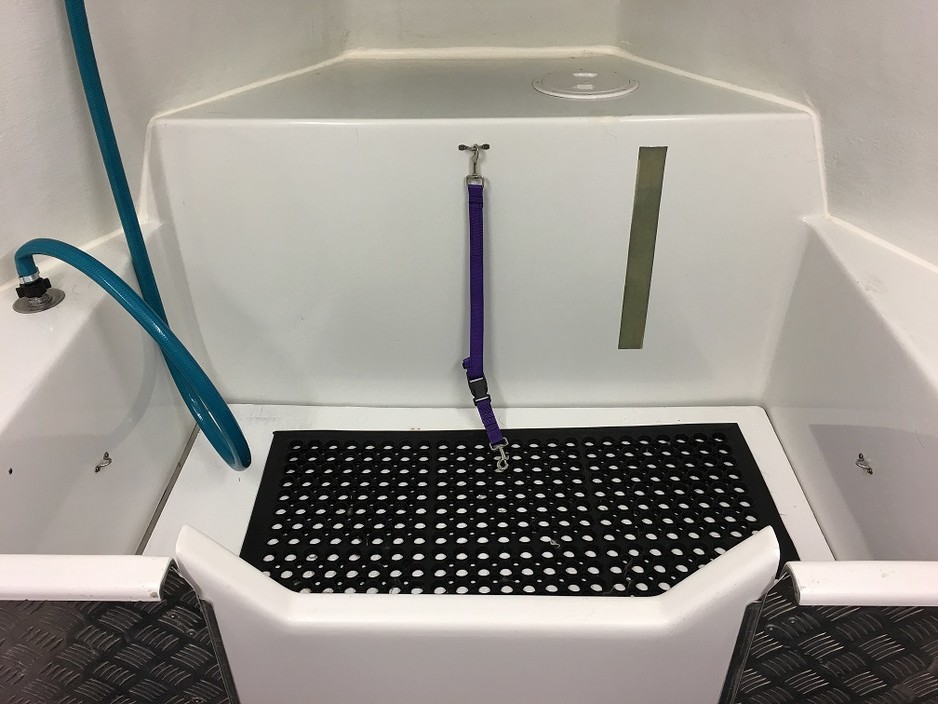 Meg's Mobile Dog Grooming Pic 1 - Warm water hydrobath