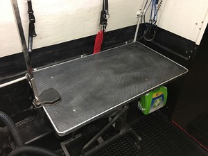 Meg's Mobile Dog Grooming Pic 3 - Dog grooming table