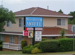 White Lanterns Motel Pic 1