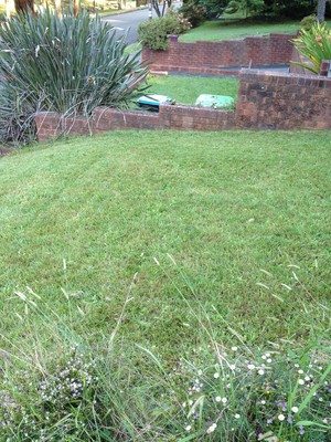 Garden Envy Pic 3 - After