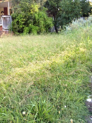 Garden Envy Pic 2 - Before