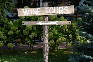 Auroo Chauffeurs Pic 4 - Winerytoursauroochauffeurs