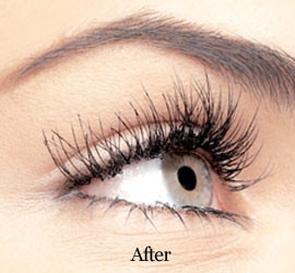 The Lash Doctor Pic 2