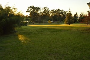 Diamond Forest Cottages Pic 3