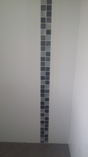 RASP Tiling Pic 5 - Shower