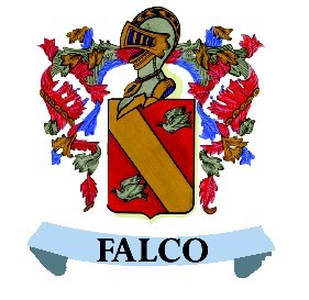 Falco Projects Pic 1