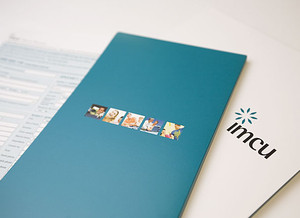 Plunge Creative Pty Ltd Pic 2 - logo design and design of print collateral for imcu credit union