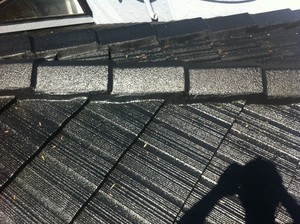 Nicewonder Roofing Pic 2