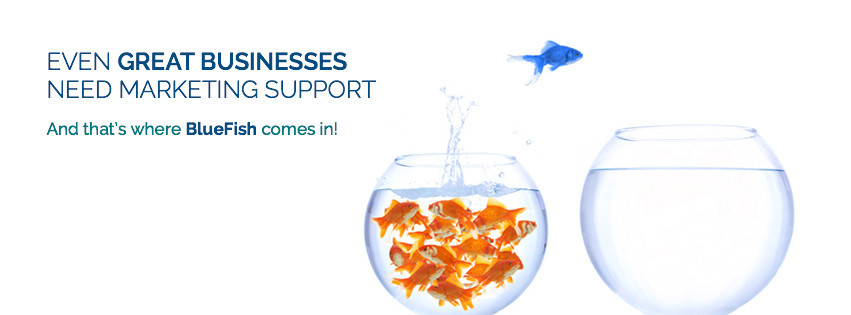 Blue Fish Business Support & Marketing Pic 2