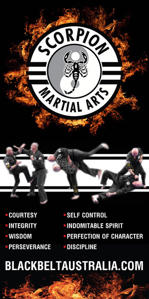 Scorpion Martial Arts & Fitness Pic 3