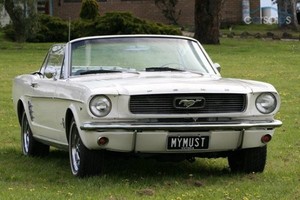 Sweet Ride Mustangs Pic 2