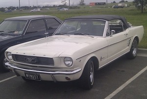 Sweet Ride Mustangs Pic 3