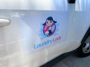 The Laundry Lady Pic 2