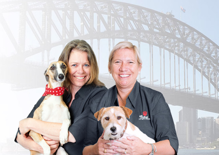 Pet Medical Milsons Point Pic 1