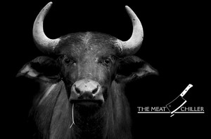 The Meat Chiller Pic 2 - Bull with logo