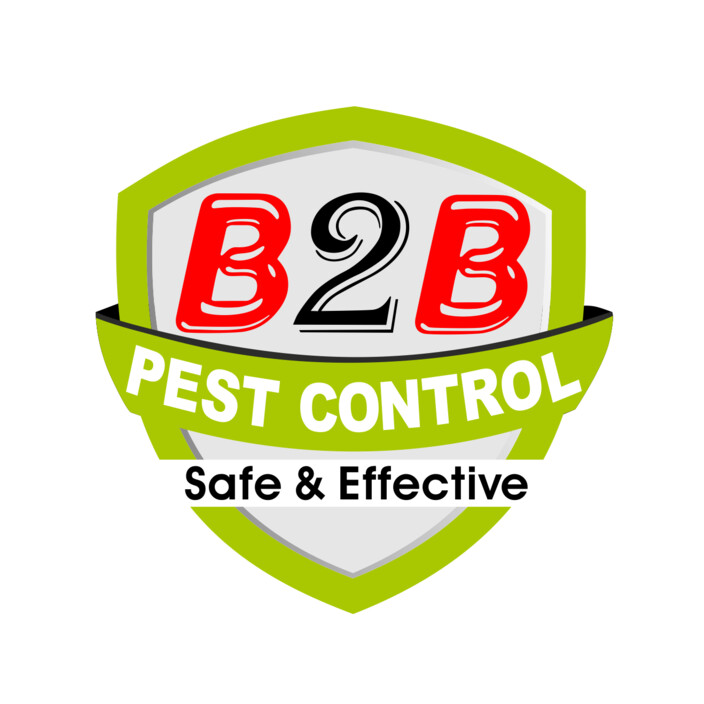 B2b Pest Control Pic 1