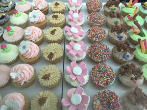 The Cupcake Princess Pic 3