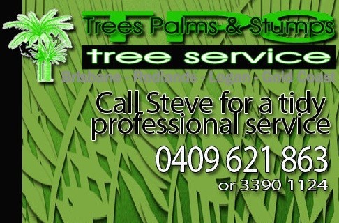 Trees Palms and Stump Pty Ltd Pic 1