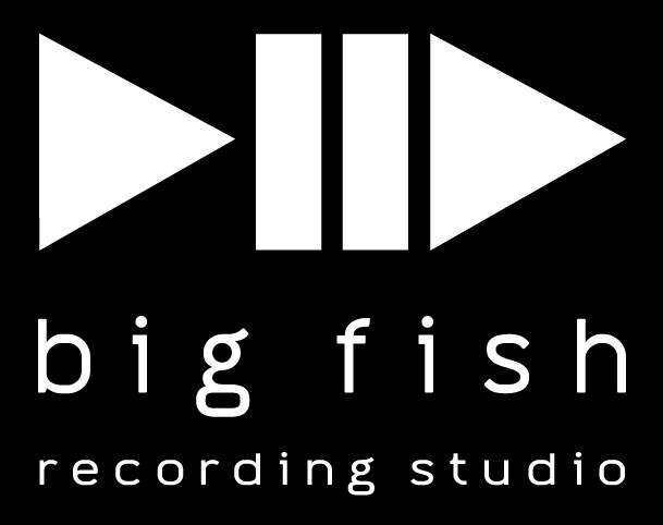 Big Fish Recording Studio Pic 1