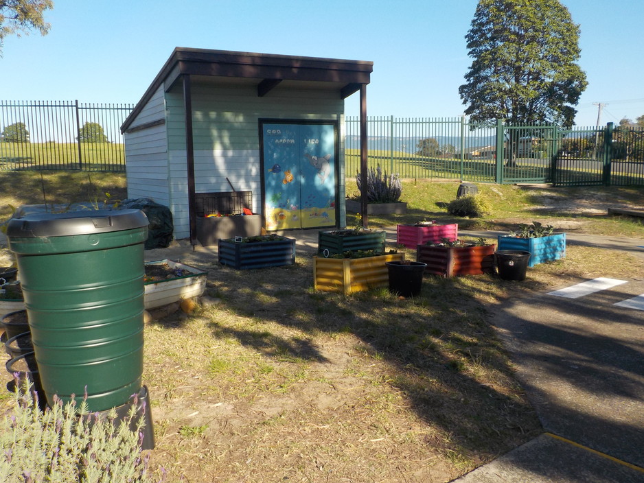 Mt Warrigal Public School Preschool Pic 1 - Our little garden beds