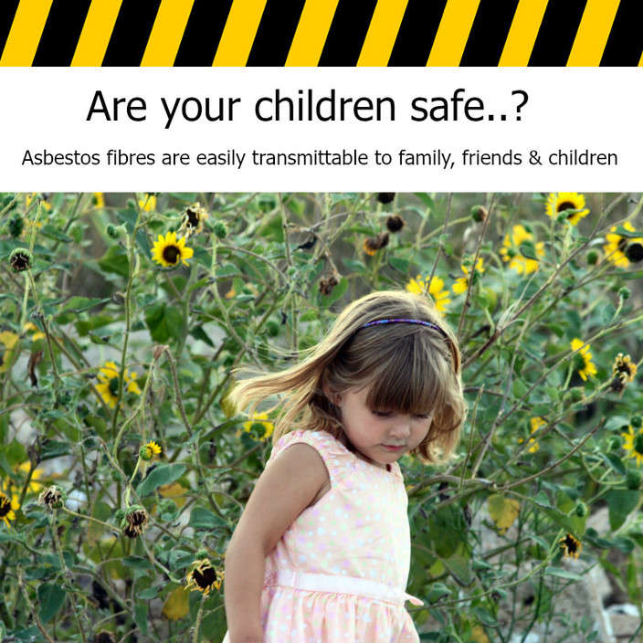 Height Safety Engineers Pic 1 - Are your children Safe asbestossawareness asbestostraining