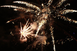 Aerial Pyro-Tech Fireworks Pic 4