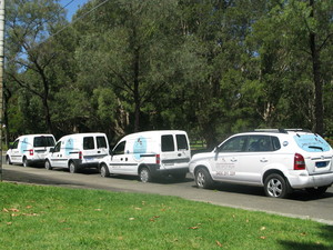 See Spot Run - Dog Walking & Training Services Pic 3 - Our See Spot Run fleet