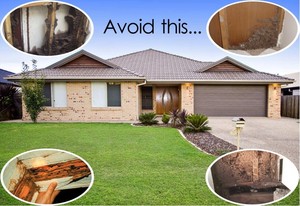 Dr Falls Pest Control Services Pic 3 - protect your home