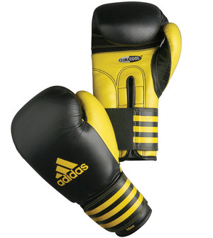 Sporting Gear Australia Pic 3 - Performer boxing glove 9995