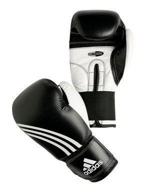 Sporting Gear Australia Pic 4 - Performer II boxing glove 9995