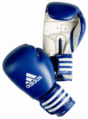 Sporting Gear Australia Pic 2 - Training II boxing glove 6499