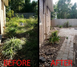 Aspect Gardening Services Pic 3