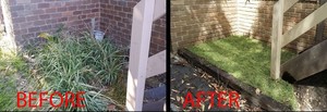 Aspect Gardening Services Pic 5