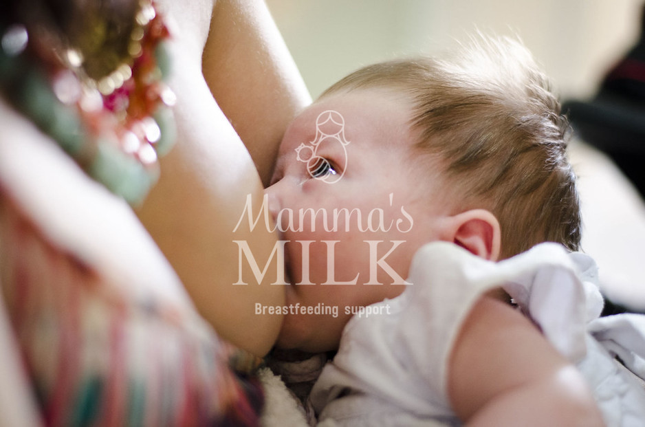 Mamma's Milk Pic 1