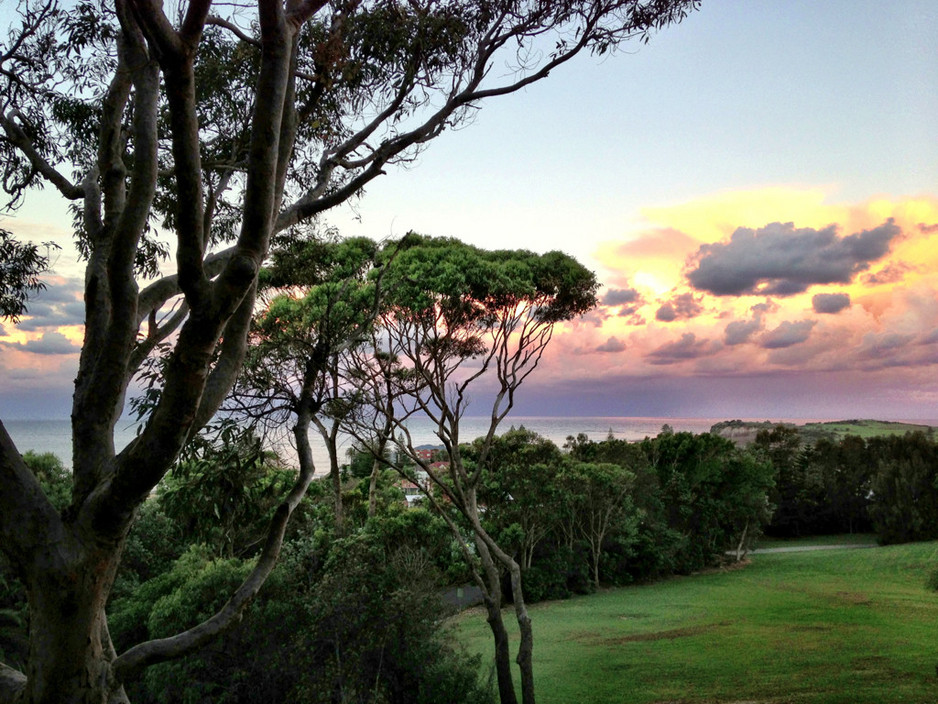 The Collaroy Centre Pic 1