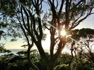 The Collaroy Centre Pic 2 - Morning view from the hotel more motel style accommodation