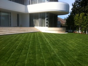 Green Landscaping Pic 2 - after