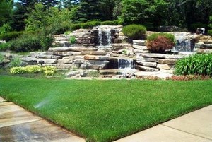 AMELIA'S ELEGANT GARDEN CARE PTY LTD Pic 5