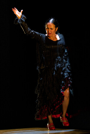 Flamenco Australia Pic 4