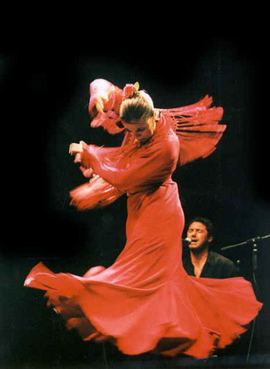 Flamenco Australia Pic 2 - flamenco is proud powerful and elegant