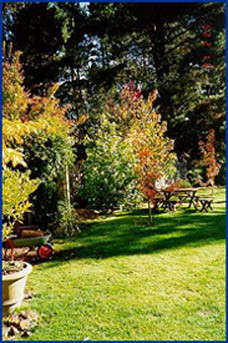 Peartree Cottage Leura Pic 1 - Peartree Cottage Leura