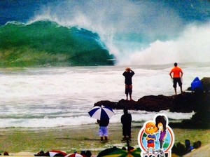 P'fessor Guus Pic 2 - Yucckie Mahzie Snapper Rocks Australia pfessor guus