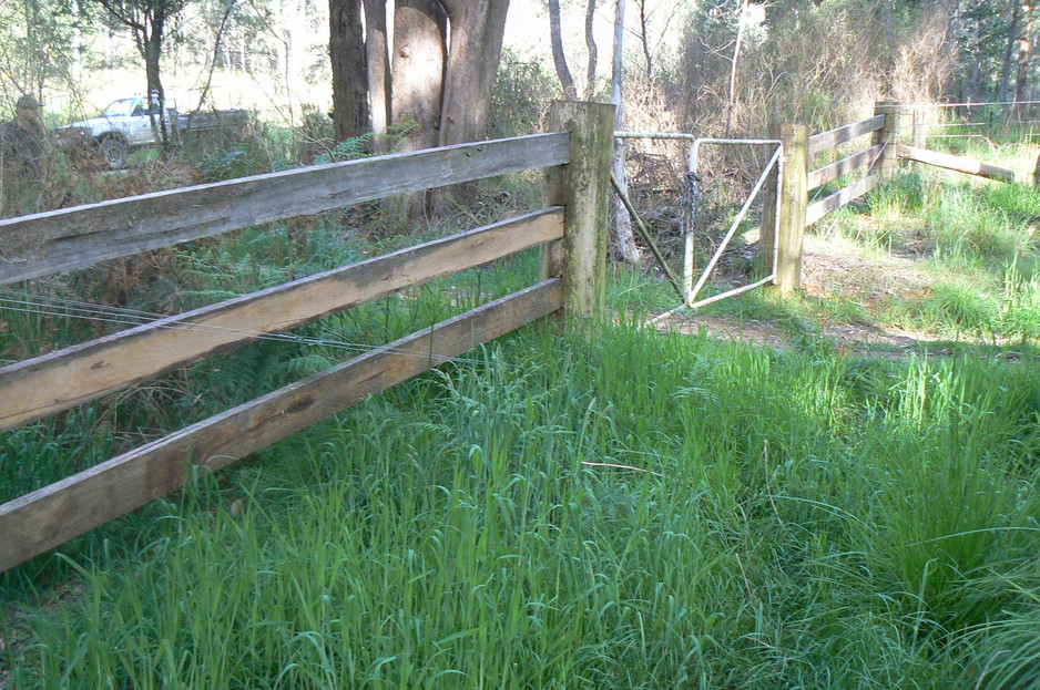 Rural Fencing North East Victoria - Nichstone Rural Contractors Pic 2 - Morticed Post Rail Entrance Stringy Bark Timber