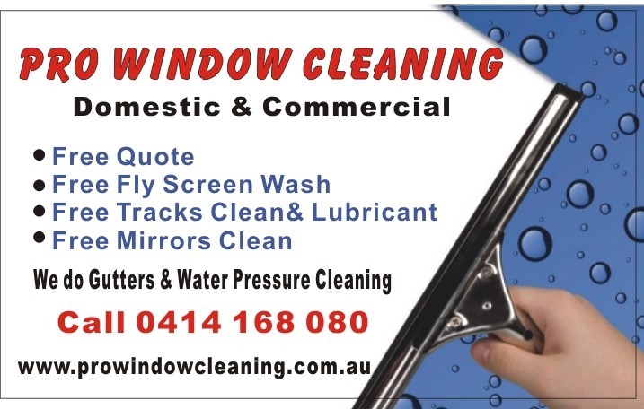 Pro Window Cleaning Pic 1